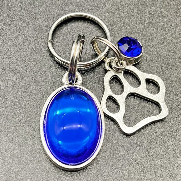Hand Crafted Other - Pet Collar Charm Blue